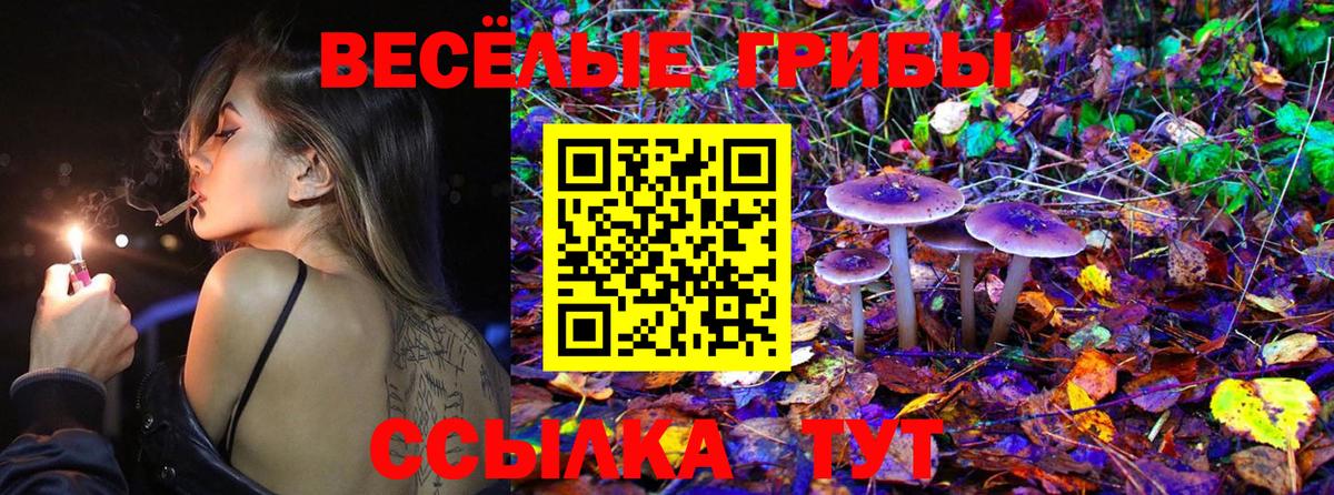 закладки  Псилоцибиновые грибы Psilocybe  Вход с VPN  Псилоцибиновые грибы прущие грибы  Усть-Лабинск 