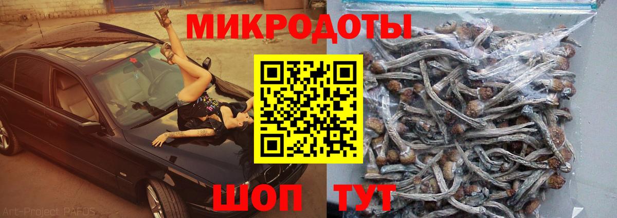 Галлюциногенные грибы ЛСД Усть-Лабинск